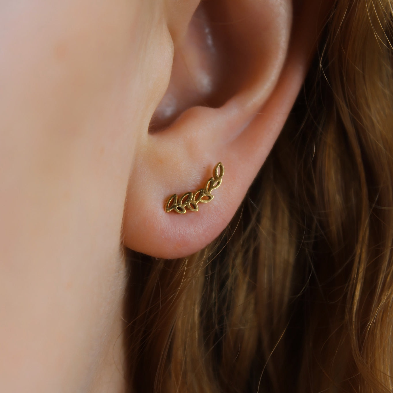 „Cassia" Zweig Edelstahl Ohrstecker