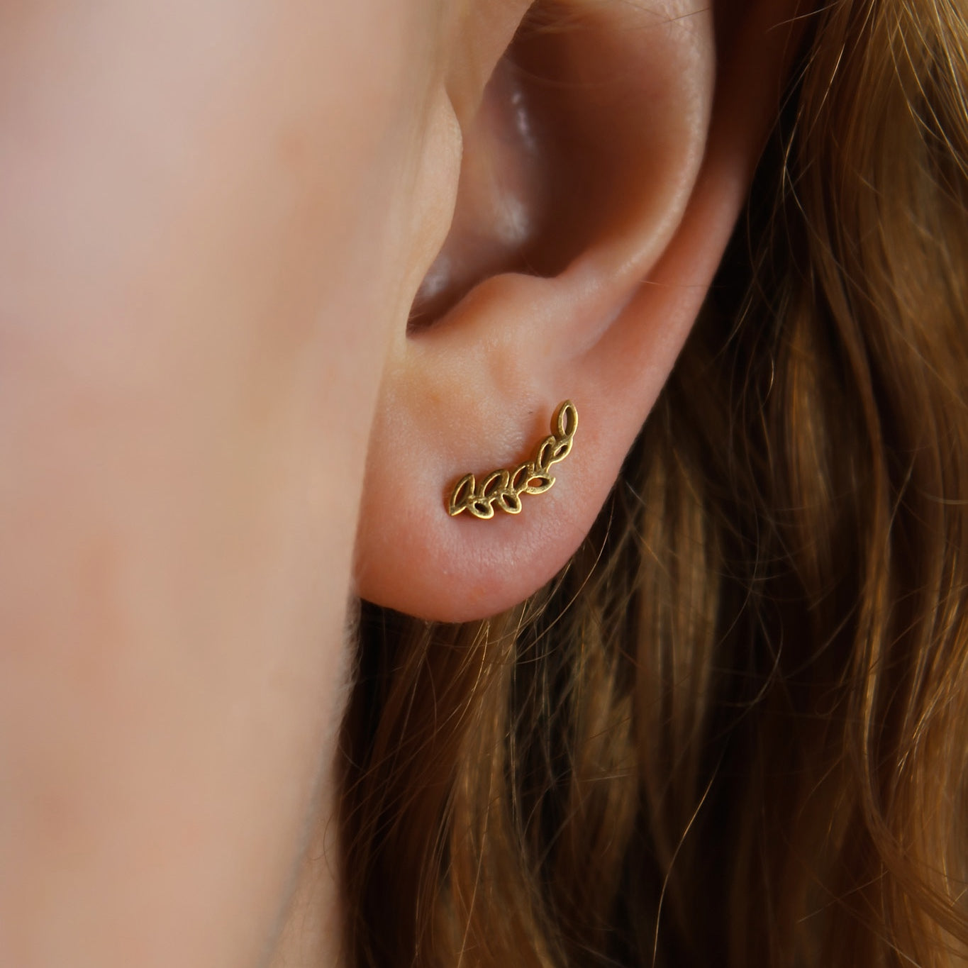 „Cassia" Zweig Edelstahl Ohrstecker